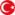 Türkçe